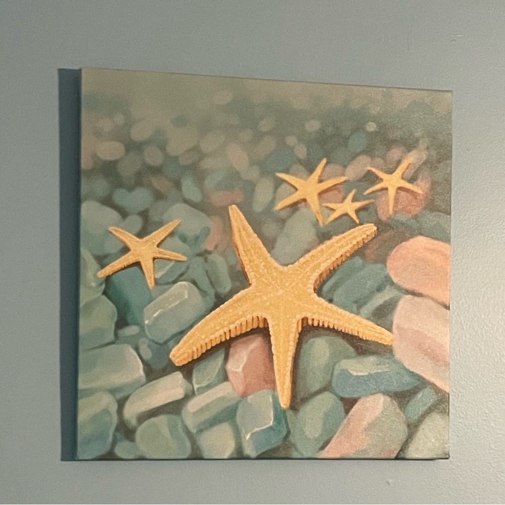 Starfish and Pebbles Canvas Art